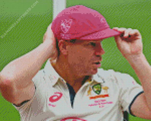 David Warner Diamond Painting