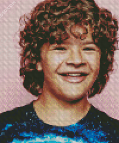 Gaten Matarazzo Diamond Painting