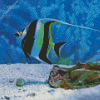 Moorish Idol Diamond Painting