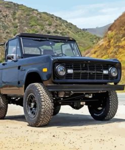 Old Ford Bronco Diamond Painting