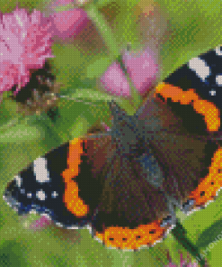 Red Admiral Butterfly Diamond Painting