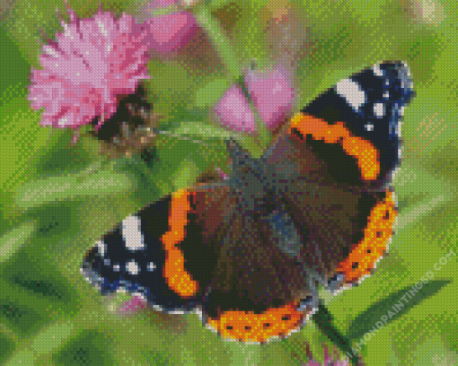 Red Admiral Butterfly Diamond Painting