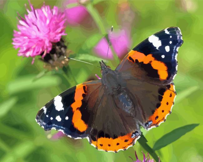 Red Admiral Butterfly Diamond Painting