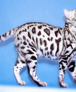 White Bengal Cat Diamond Painting