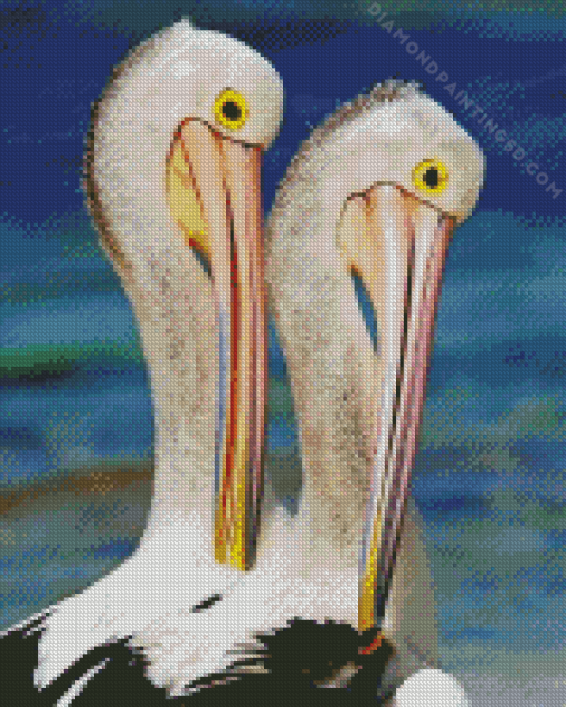 Pelican Birds Diamond Painting