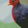 Crimson Headed Partridge Diamond Painting