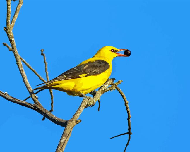 Golden Oriole Diamond Painting