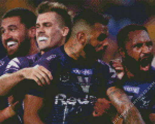 Melbourne Storm Payers Diamond Painting art