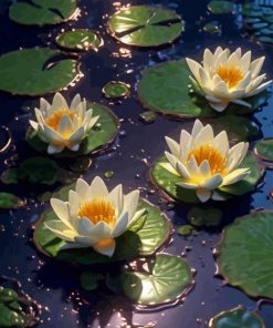 White Water Lilies Diamond Painting