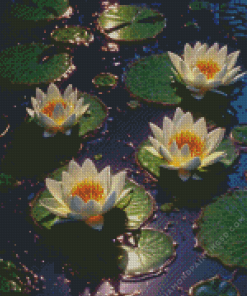 White Water Lilies Diamond Painting