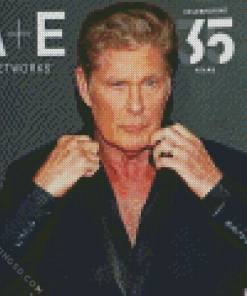 David Hasselhoff Diamond Painting