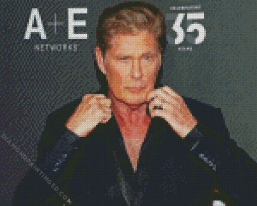 David Hasselhoff Diamond Painting