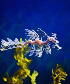 Leafy Seadragon Diamond Painting