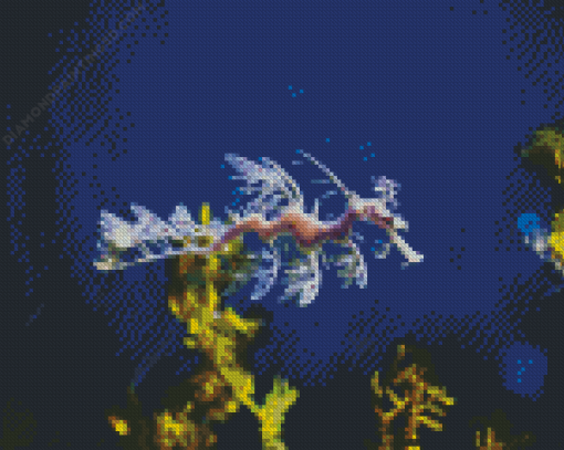 Leafy Seadragon Diamond Painting