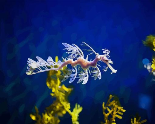 Leafy Seadragon Diamond Painting