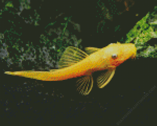 Pleco Fish Diamond Painting