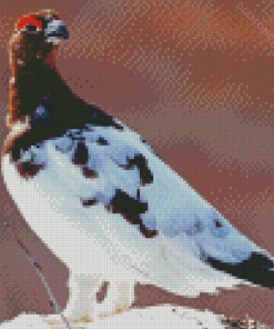 Willow Ptarmigan Diamond Painting