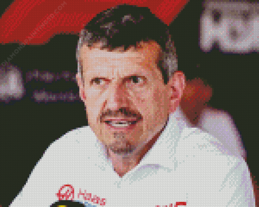 Guenther Steiner Diamond Painting