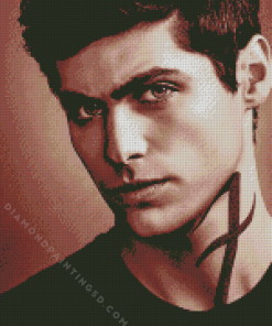 Shadowhunters Alec Lightwood Diamond Paintings